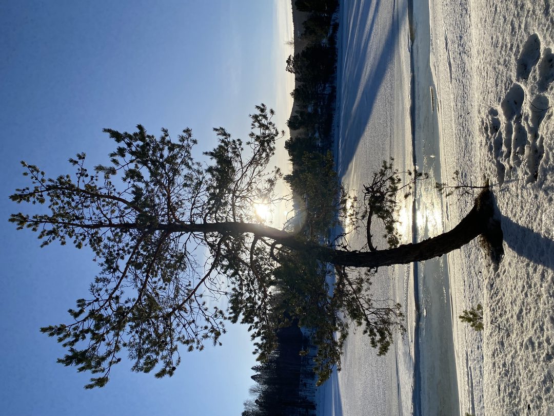 Qigong på Hågestaön 