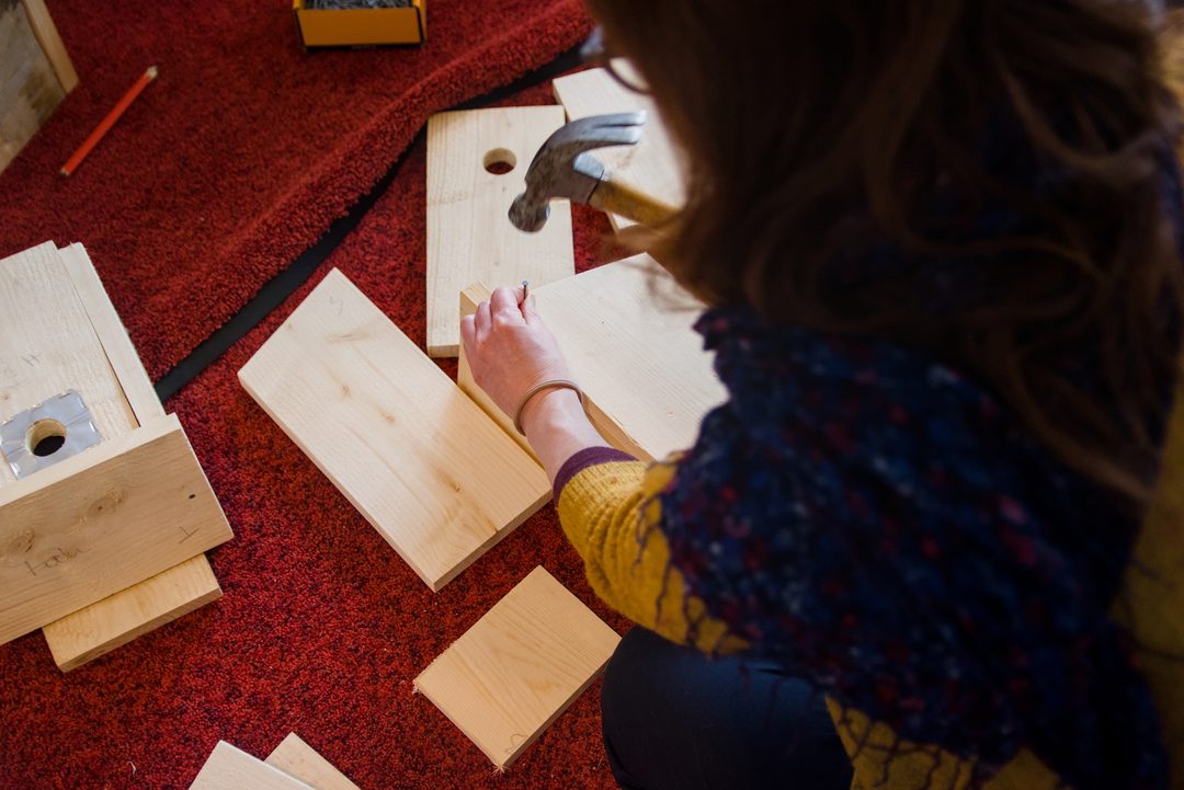 Hållbarhetsveckan |  Aktiviteter för barn och barnsliga själar