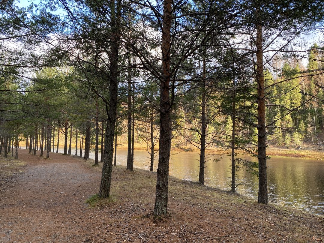 Qigong på Hågestaön Sollefteå 